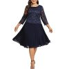 Women's Plus Size Tea Length Sequin Lace Dress Mother Gifts Special Occasion Wedding Party Dresses
