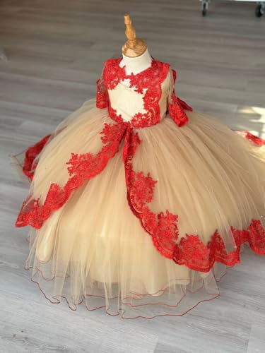 2025 Ball Gown Sheer Neck Flower Girl Dresses for Wedding Party with Big Bows at Back