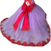 2025 Ball Gown Sheer Neck Flower Girl Dresses for Wedding Party with Big Bows at Back