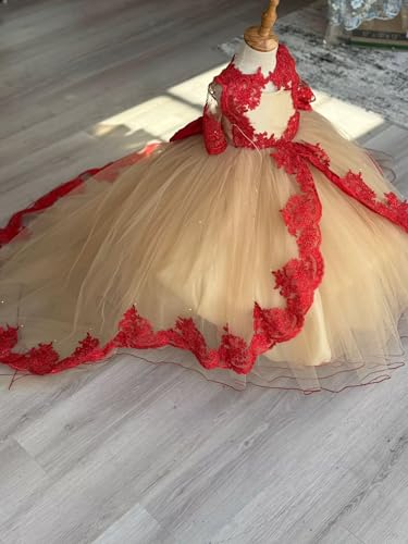 2025 Ball Gown Sheer Neck Flower Girl Dresses for Wedding Party with Big Bows at Back