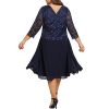 Women's Plus Size Tea Length Sequin Lace Dress Mother Gifts Special Occasion Wedding Party Dresses