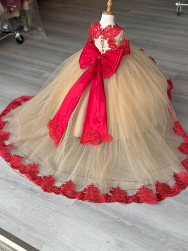 2025 Ball Gown Sheer Neck Flower Girl Dresses for Wedding Party with Big Bows at Back