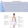2025 Ball Gown Sheer Neck Flower Girl Dresses for Wedding Party with Big Bows at Back